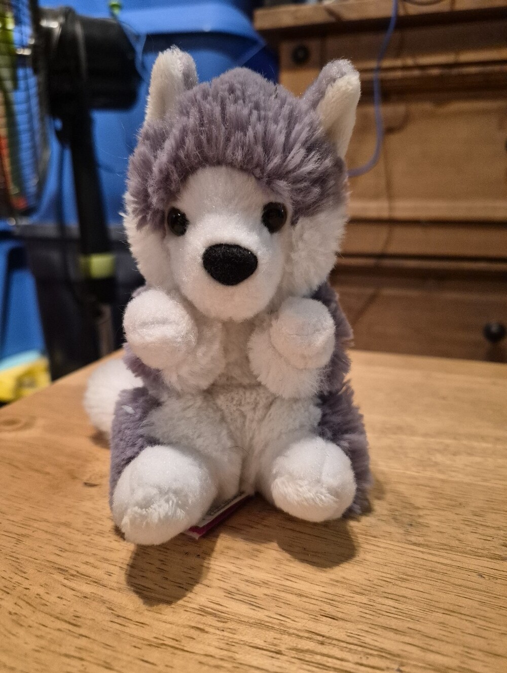 Douglas Lil' Baby Husky Dog Plush Stuffed Animal 6"
